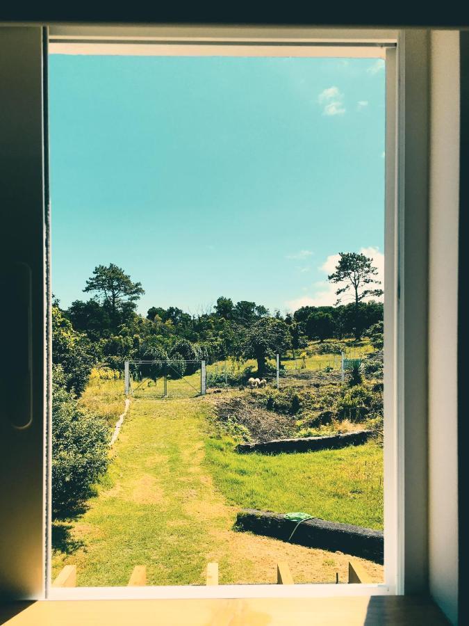 Quinta Das Almas São Roque do Pico Eksteriør billede