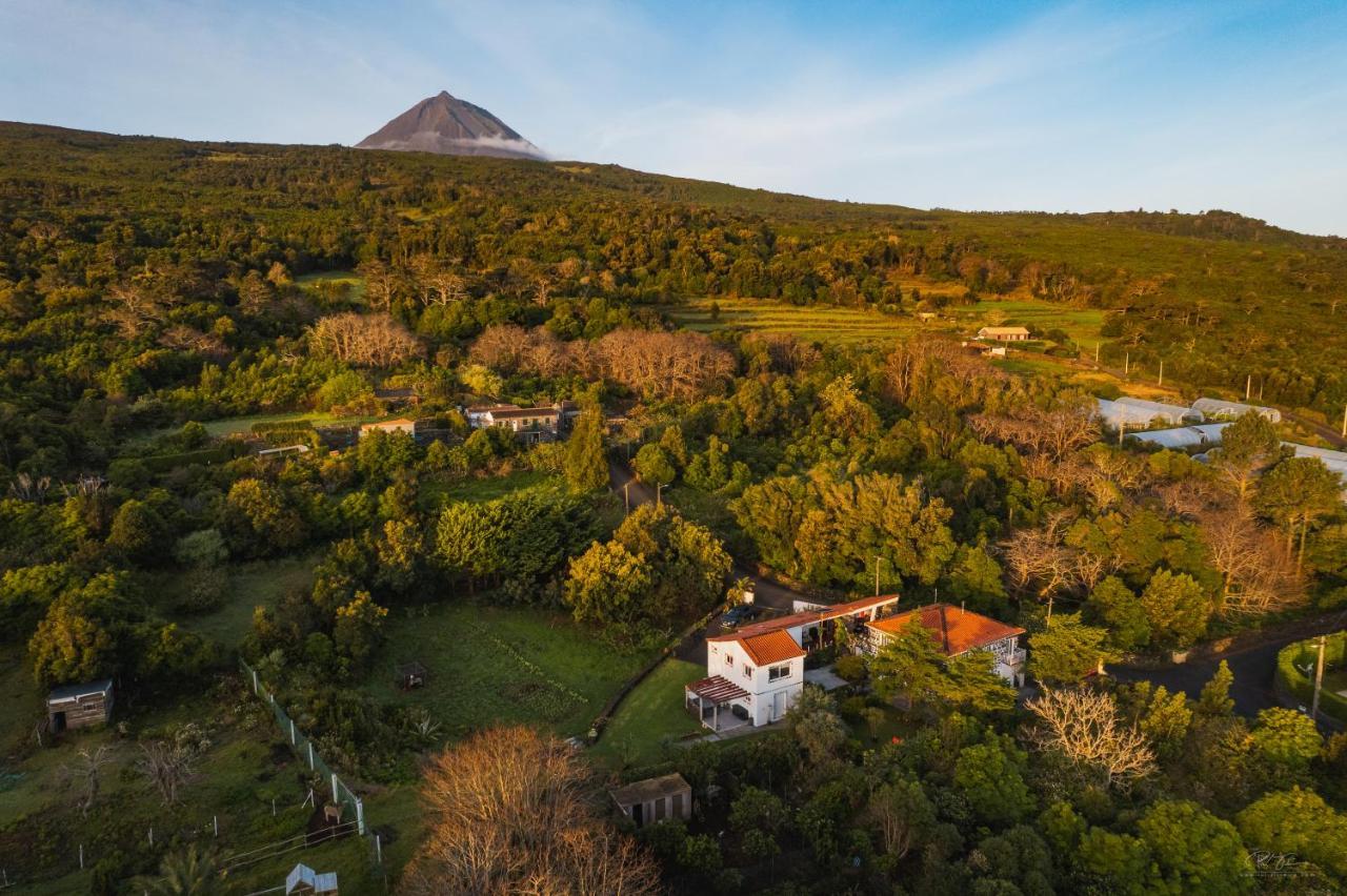 Quinta Das Almas São Roque do Pico Eksteriør billede