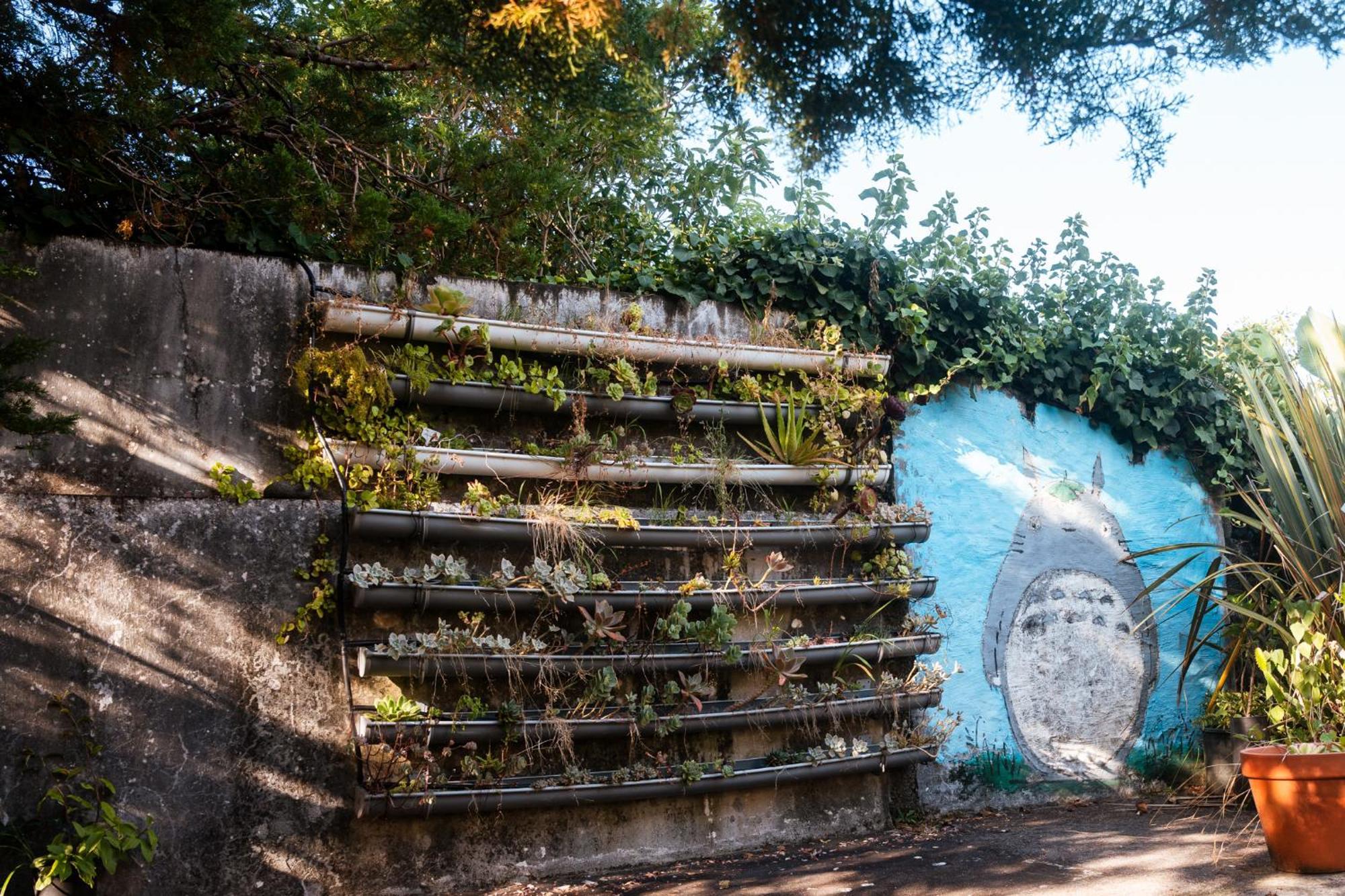 Quinta Das Almas São Roque do Pico Eksteriør billede
